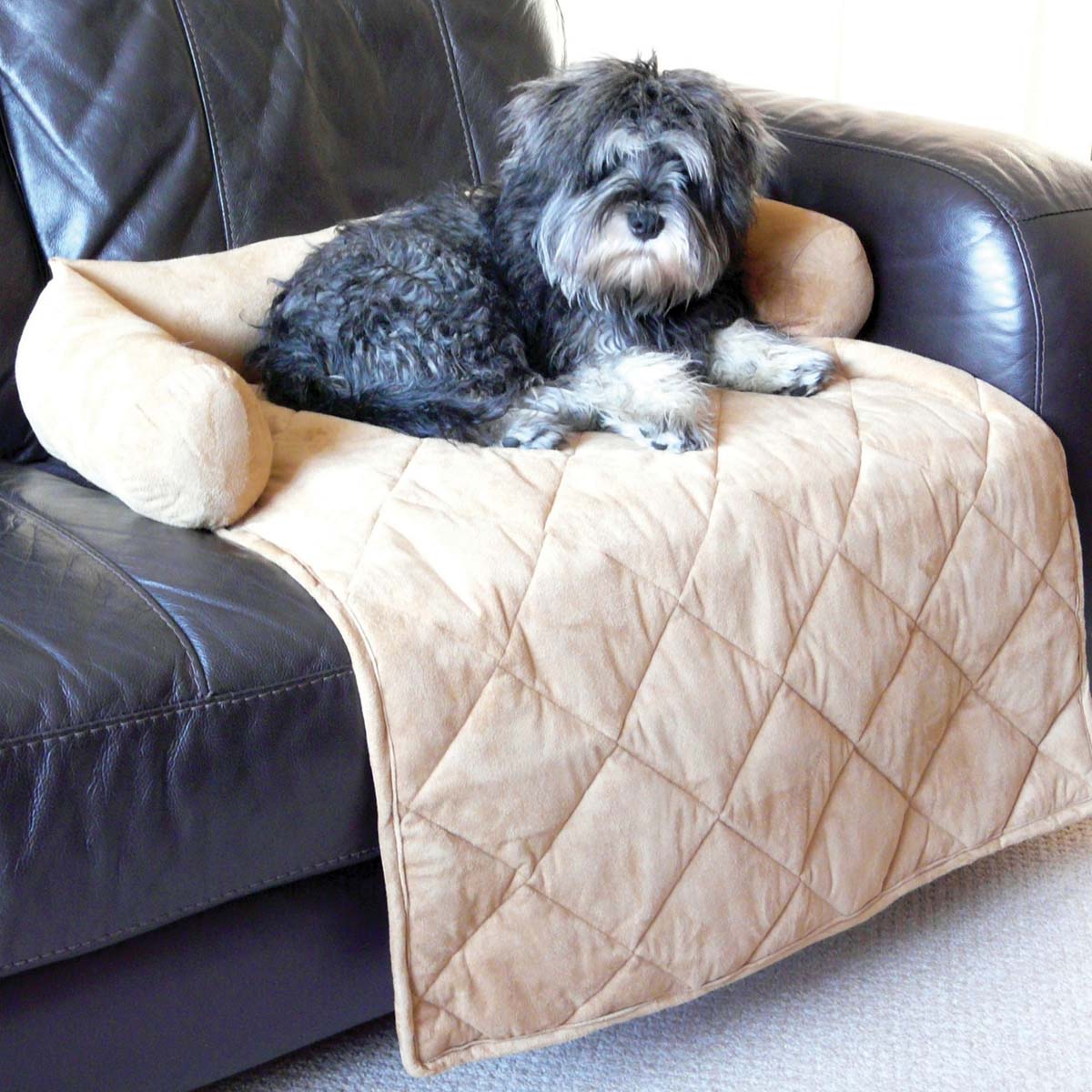 pdsa dog sofa bed.jpg